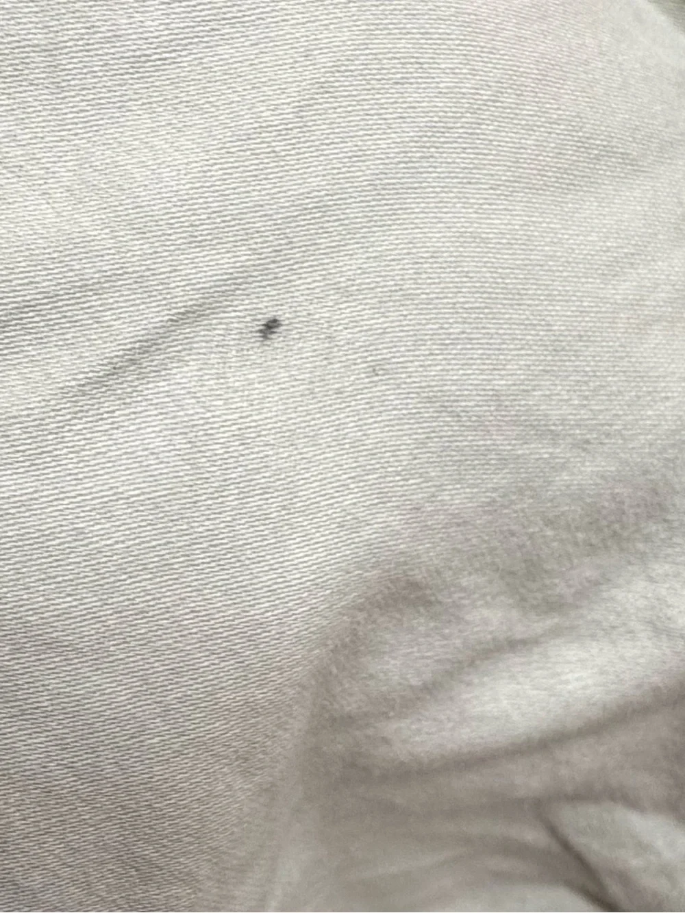 Anthropologie Maeve Liet Cotton Sateen Embroidered Duvet, Sage Green, King